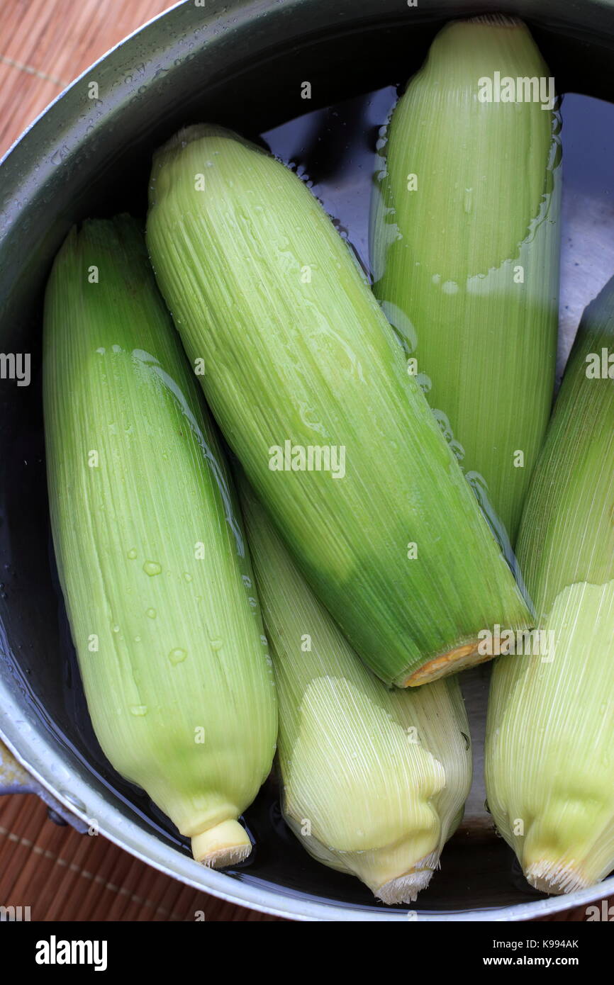 Fresh corn ready to be boiled in a pot Stock Photo