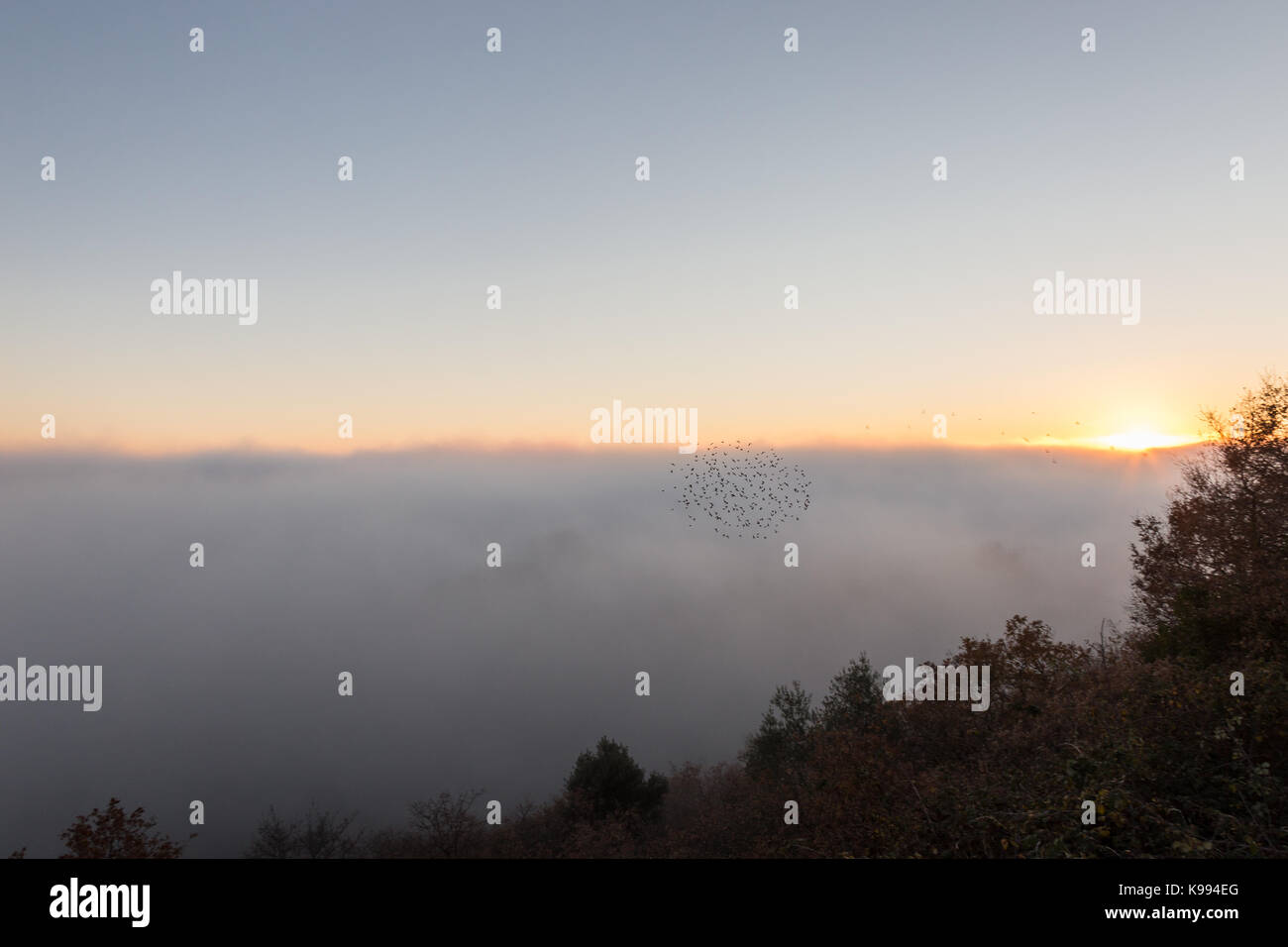 A sea of fog filling a valley at sunset, with a flock of birds flying by Stock Photo