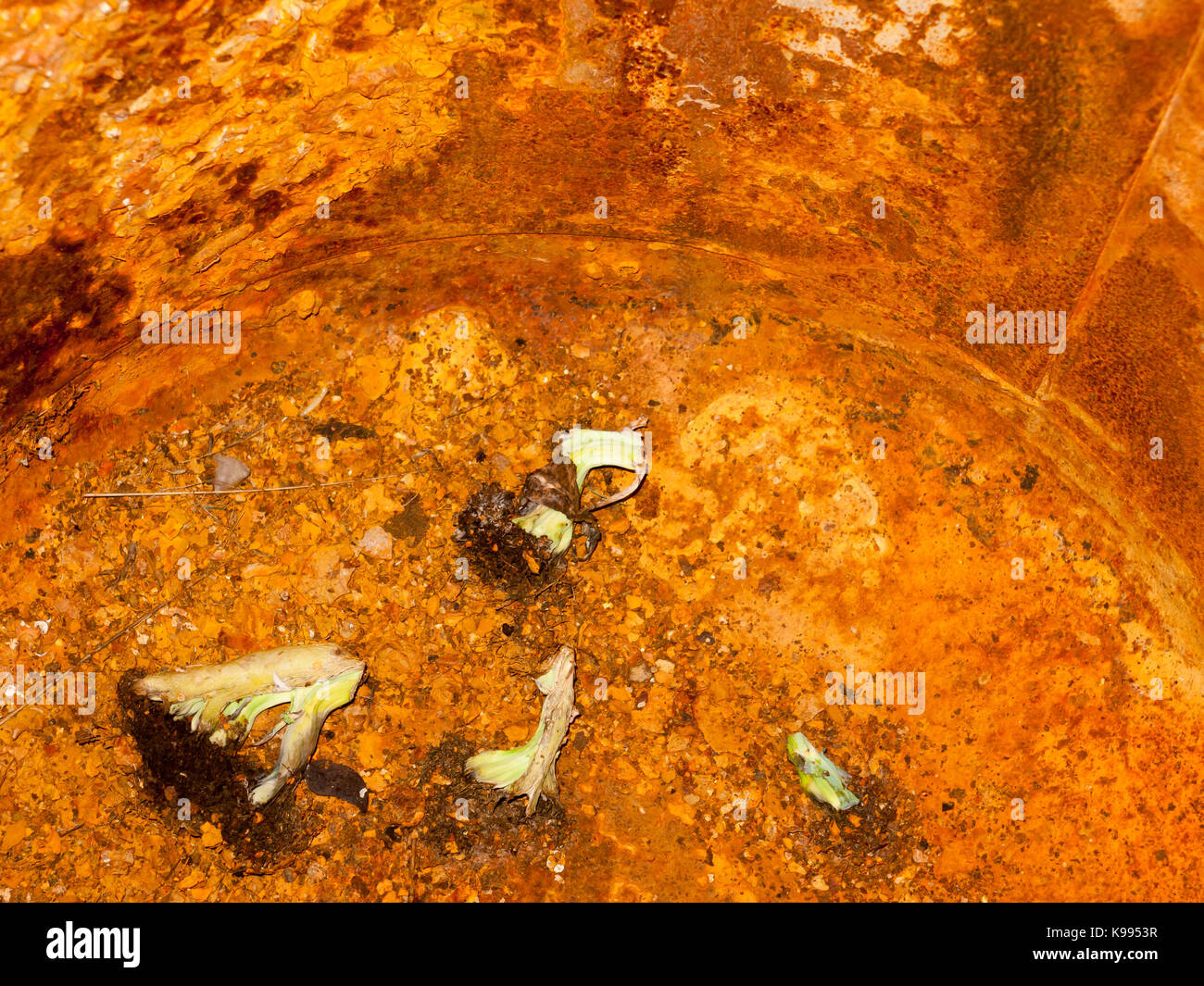 inside of an old rusty orange metal bucket texture dirty; England