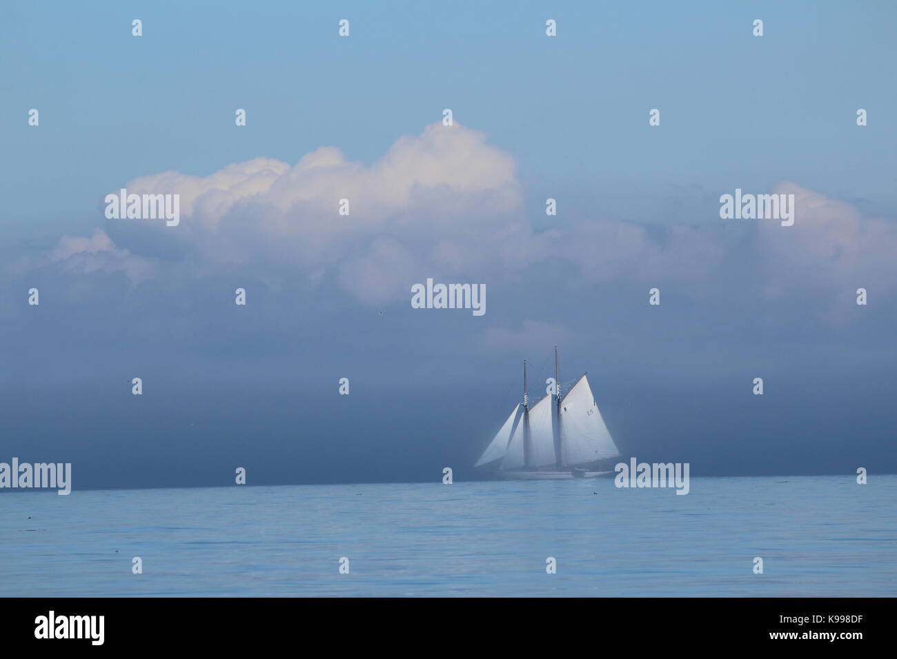 sailing through the fog Stock Photo