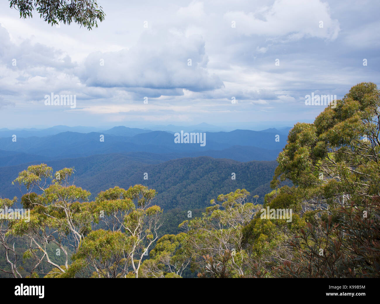 View of forest and hills in World heritage listed wilderness, New England National Park, NSW, Australia Stock Photo
