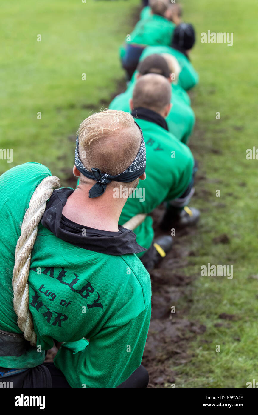 Southport, Merseyside, UK. 22nd Sep, 2017. Wallby team from Sweden at the European Outdoor Tug of War Championships held at Carr Lane, Southport. The European Championships include four weight classes for mens tug of war teams and two weight classes for ladies tug of war teams, and include a mixed weight class with the teams competing consisting of four men and four women.  Teams have a maximum weight limit of 600 kilos in these events. Also known as war of tug, tug o' war, tug war, rope war, rope pulling, tug rope or tugging war.  Credit: MediaWorldImages/Alamy Live News Stock Photo