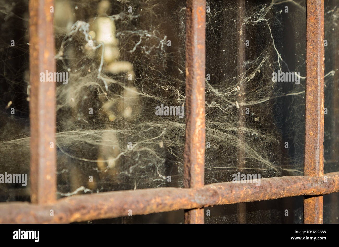 window with cobwebs - selective focus Stock Photo