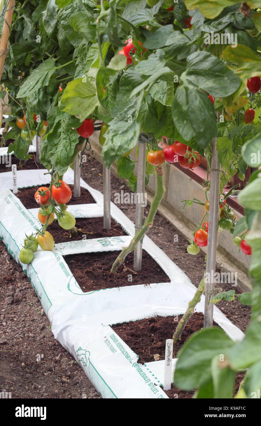 grow bags uk