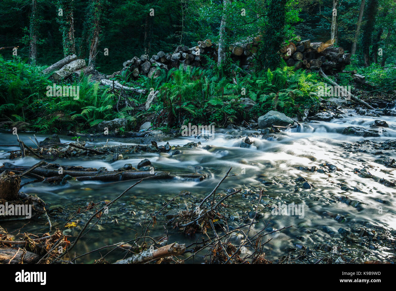 Mountain and forest background hi-res stock photography and images - Alamy