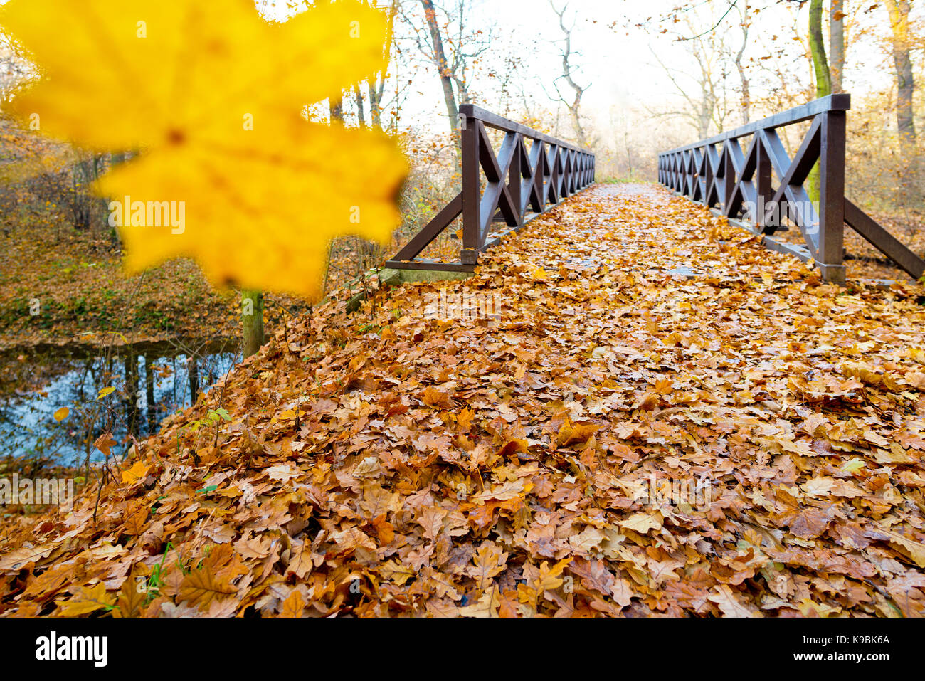 Wooden Bridge in the Forest in the Autumn Stock Photo - Alamy