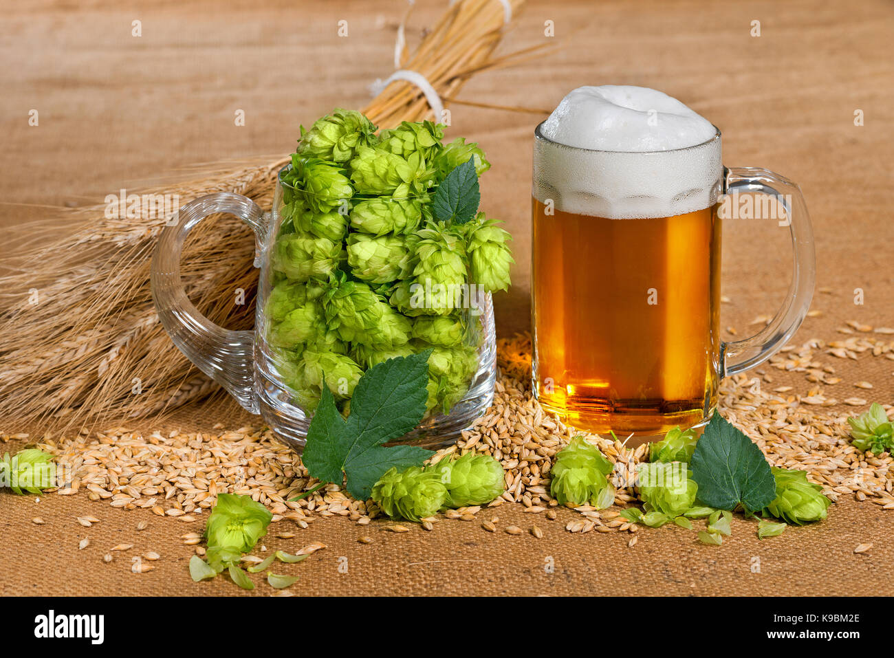 Glass of beer with raw material for beer production Stock Photo