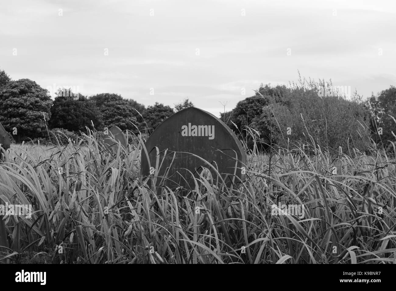 Blackburn Old Cemetery Stock Photo Alamy
