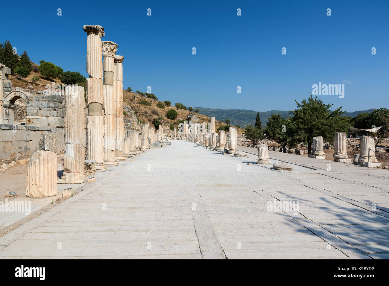 Columns of a typical Roman Basilica in Ephesus, Turkey Stock Photo - Alamy