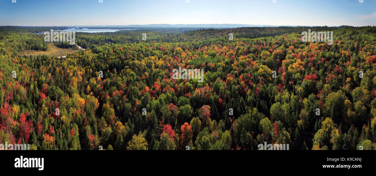 Colorful fall forest hi-res stock photography and images - Alamy