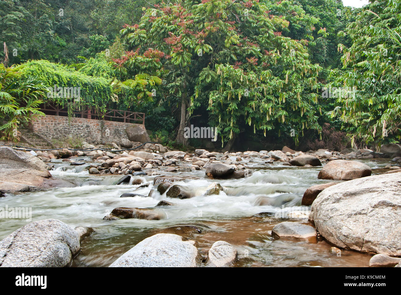 Naturally undeveloped river in Bentong, Pahang, Malaysia - Janda Baik