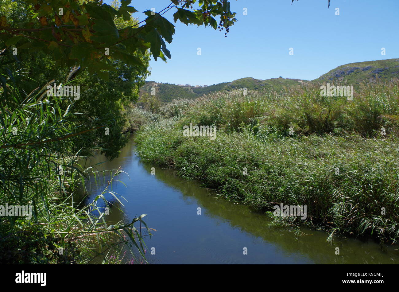 River near Porto Novo beach in Torres Vedras. Portugal Stock Photo