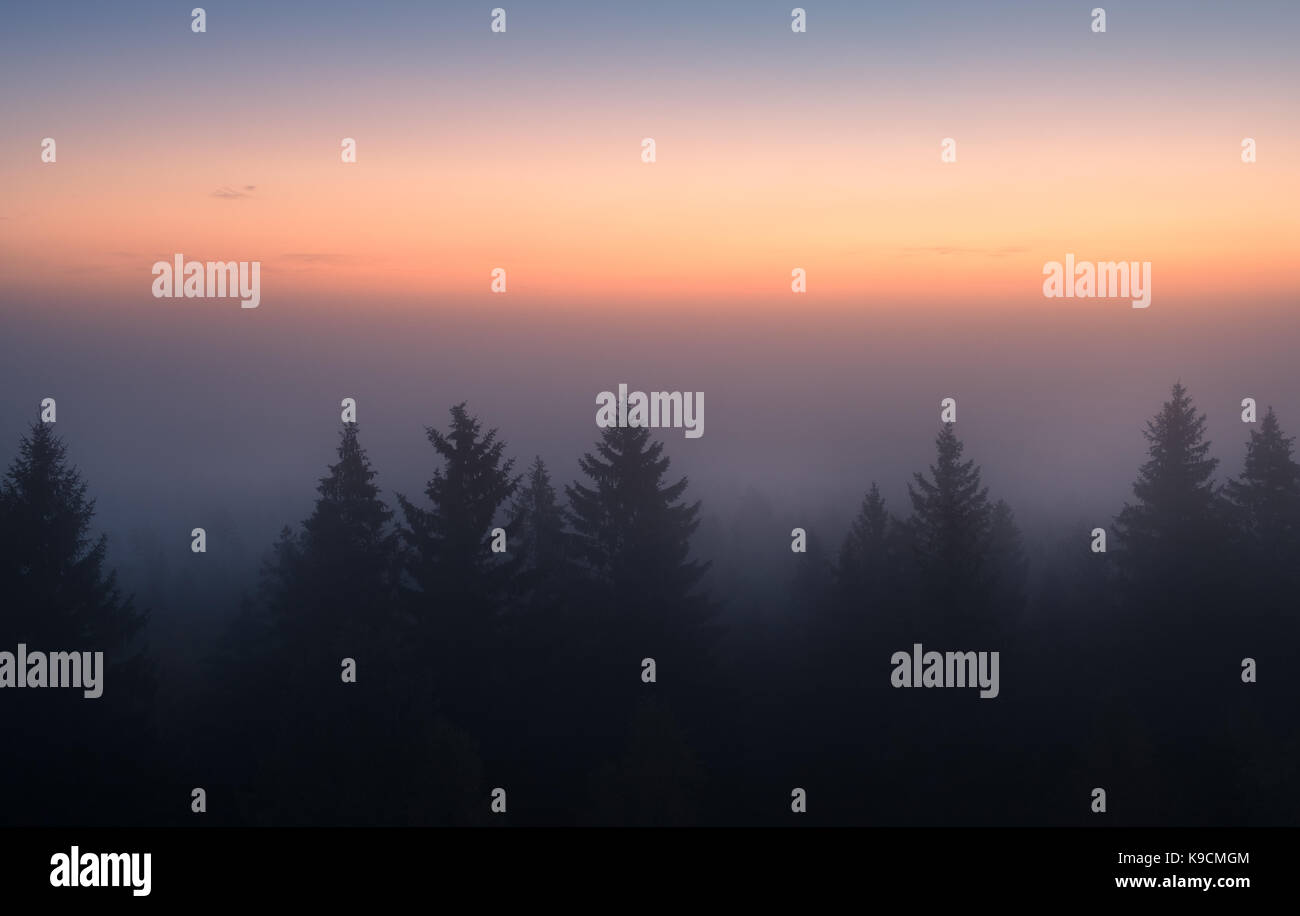 Sun is rising behind fog in Torronsuo national park, Finland Stock Photo