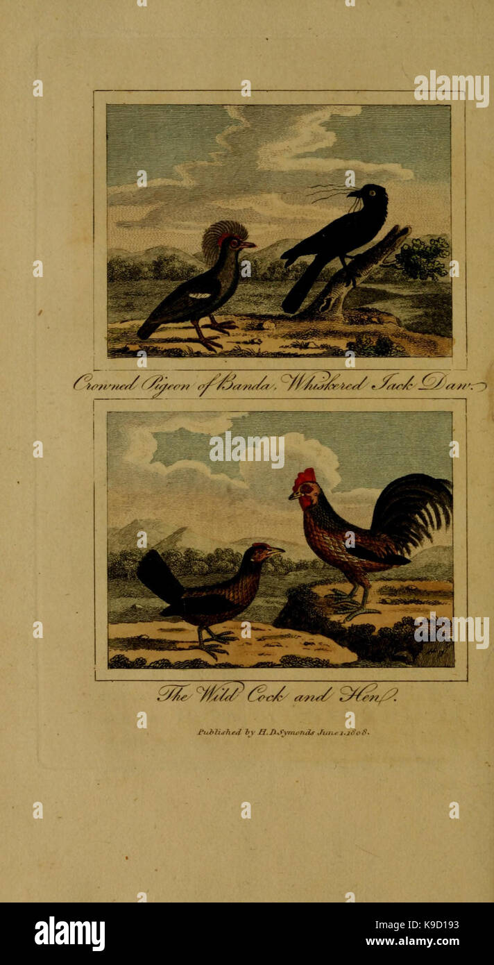 Natural history of birds, fish, insects, and reptiles (Figs. 17 18 ...