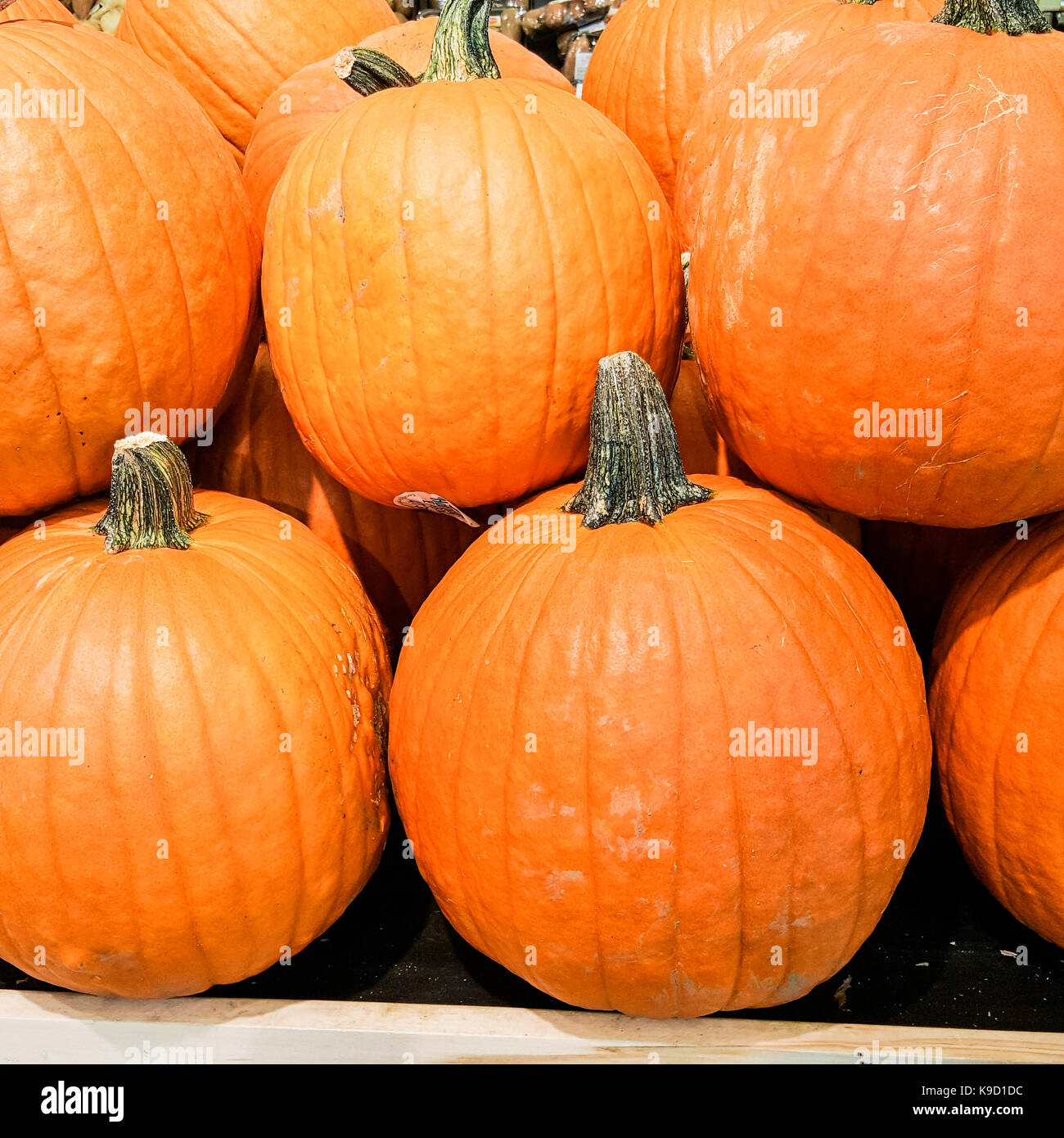 Stack of pumpkins Stock Photo - Alamy