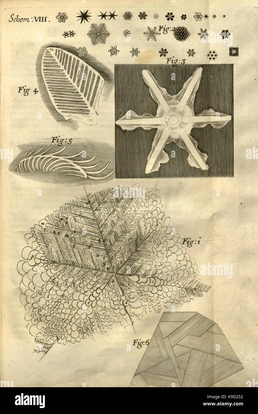 Micrographia, or, Some physiological descriptions of minute bodies made ...