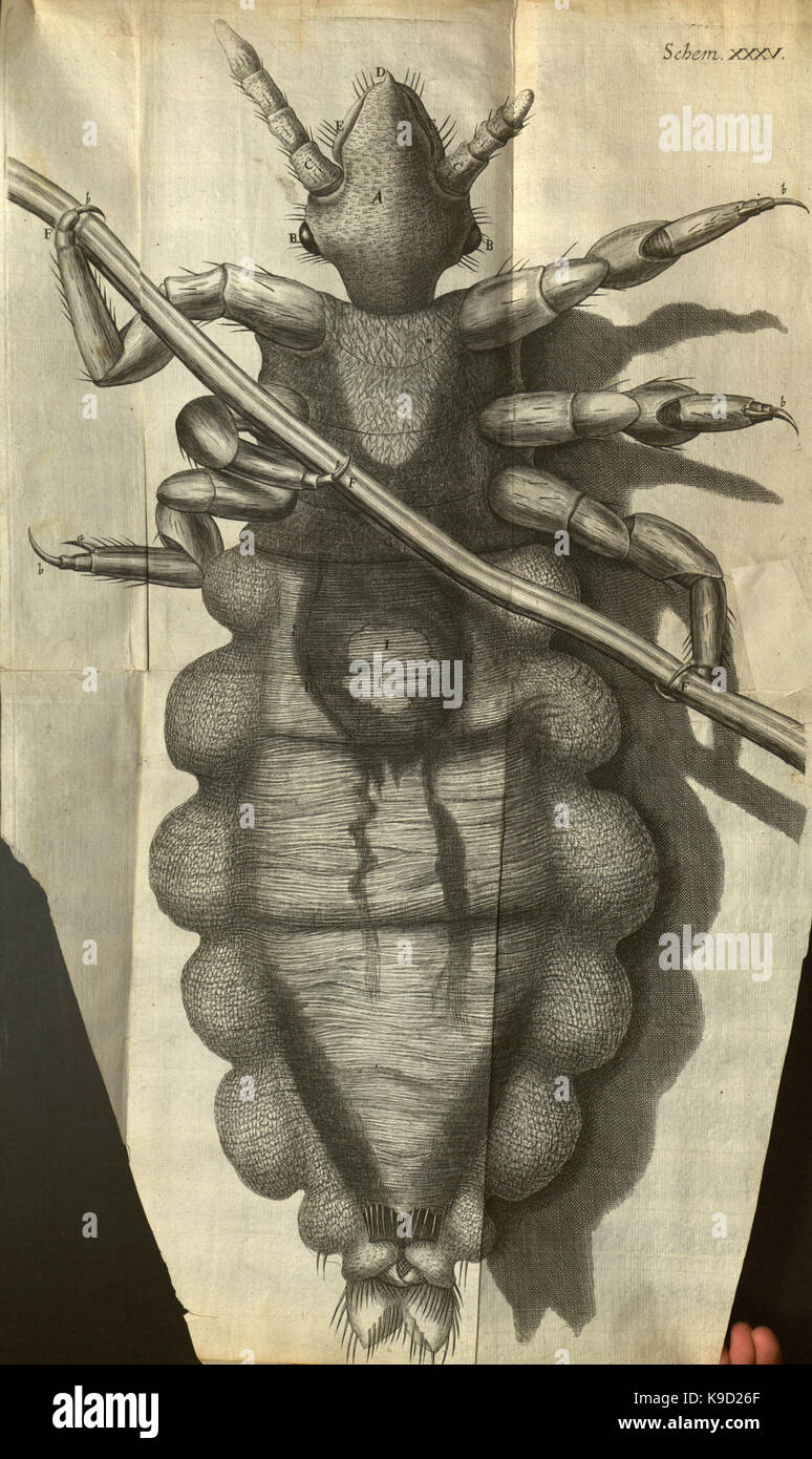Micrographia, or, Some physiological descriptions of minute bodies made ...