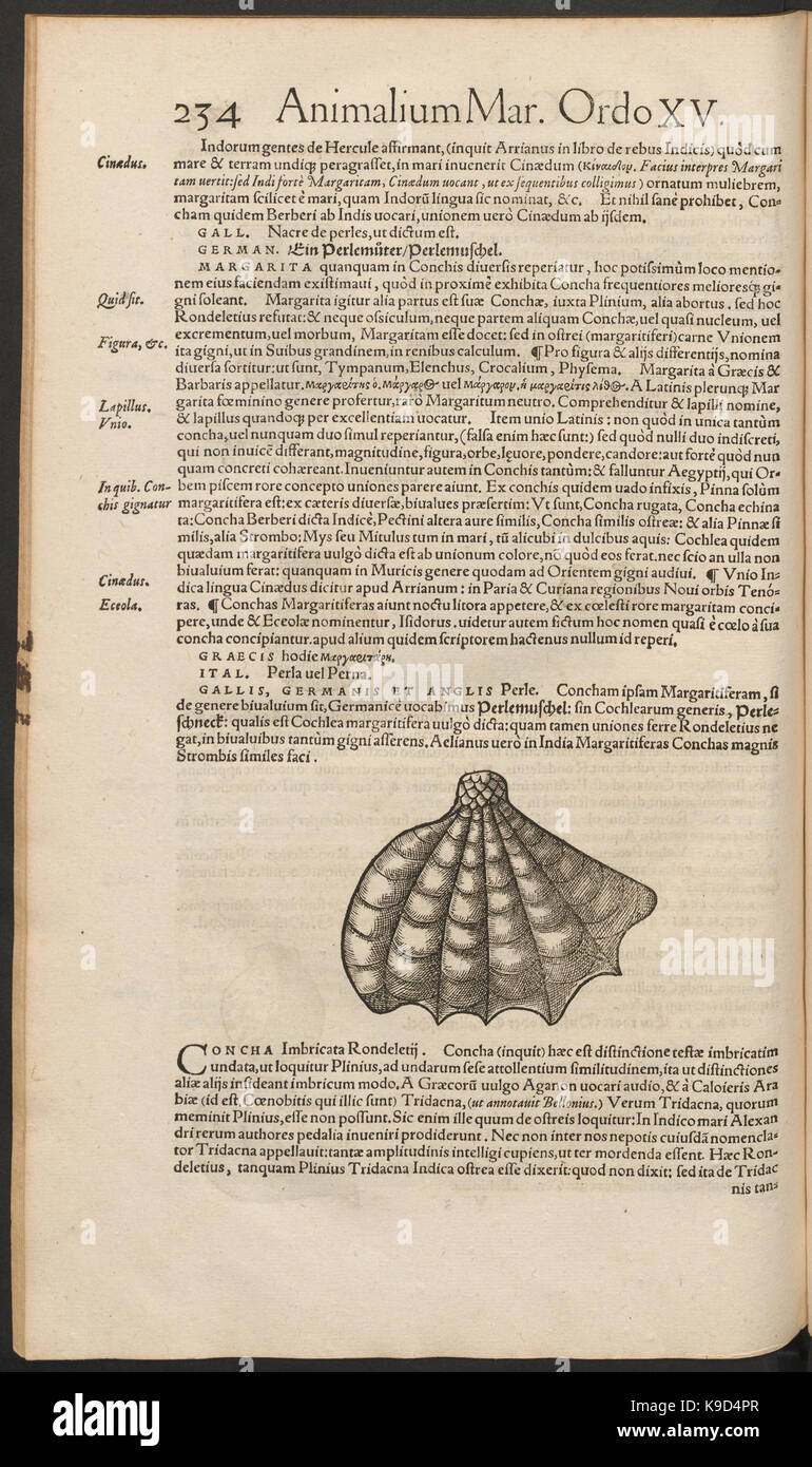 This page from *Nomenclator Aquatilium Animantium* contains ...