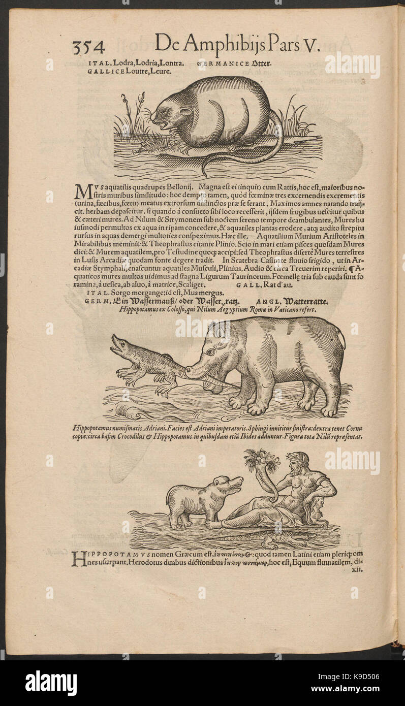 A scientific catalog from 'Nomenclator aquatilium animantium', listing