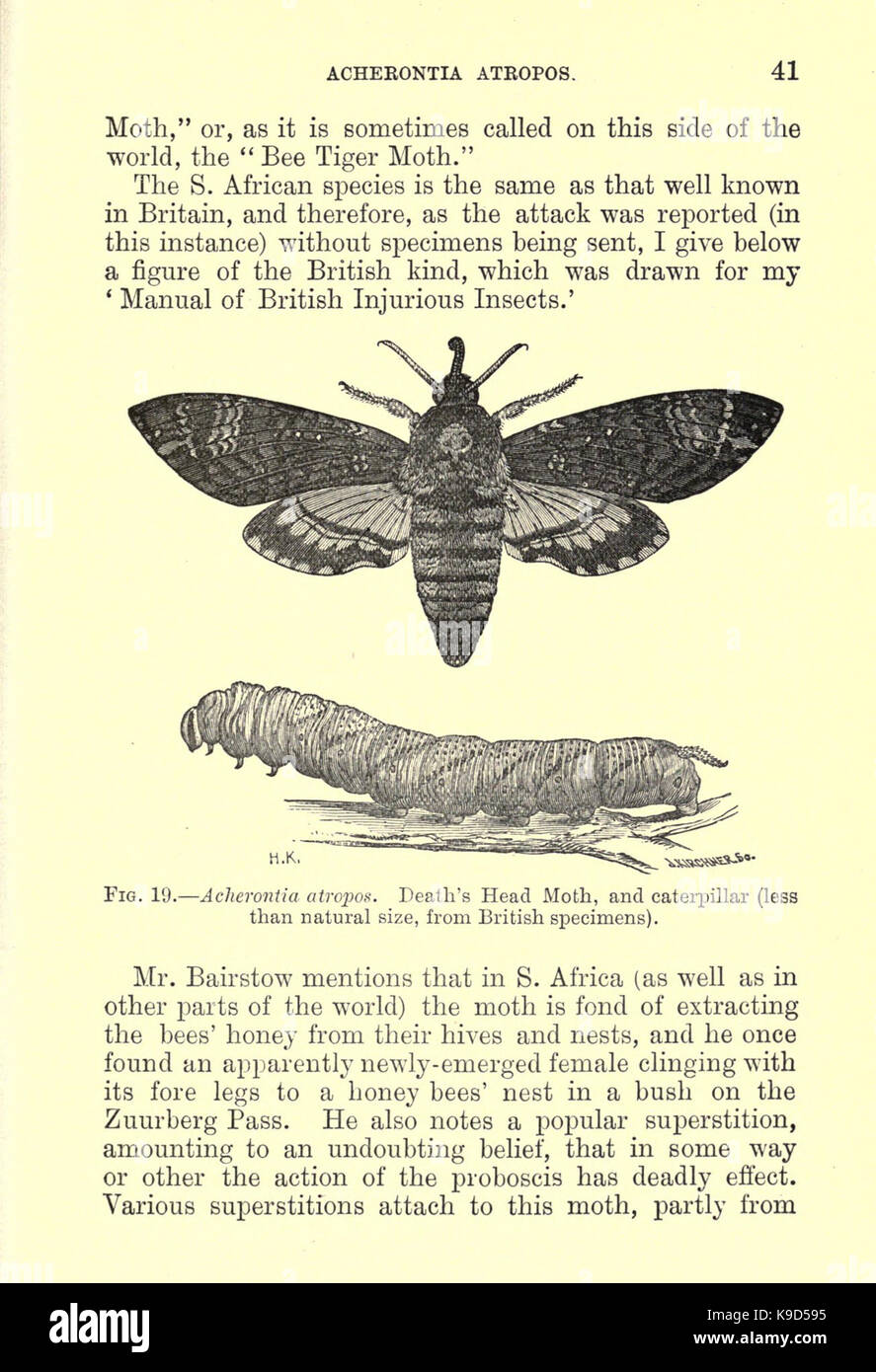 Notes and descriptions of a few injurious farm and fruit insects of ...