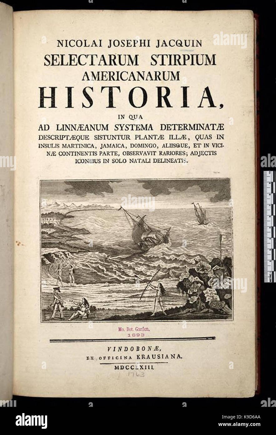 Nicolai Josephi Jacquin Selectarum stirpium Americanarum historia BHL303745 Stock Photo