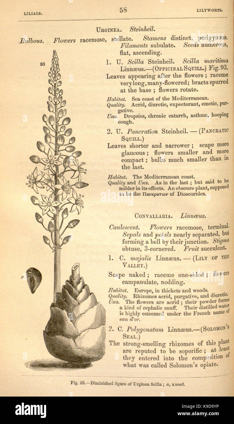 Medical medicinal plants taxonomy hi-res stock photography and images ...