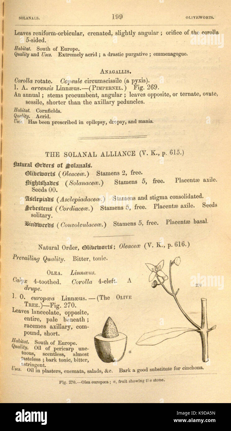 Medical medicinal plants taxonomy hi-res stock photography and images ...