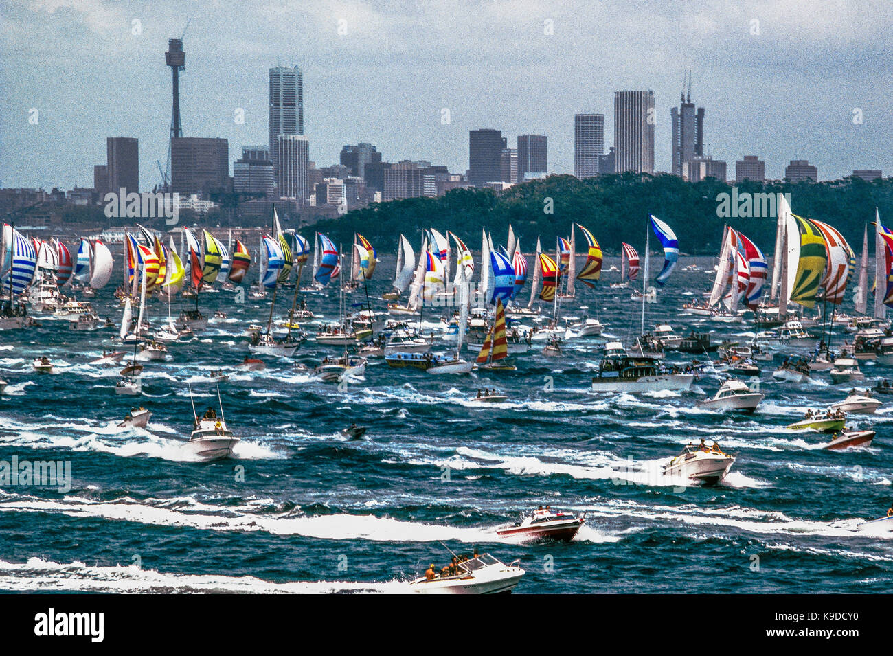 Sydney To Hobart Yacht Race Map