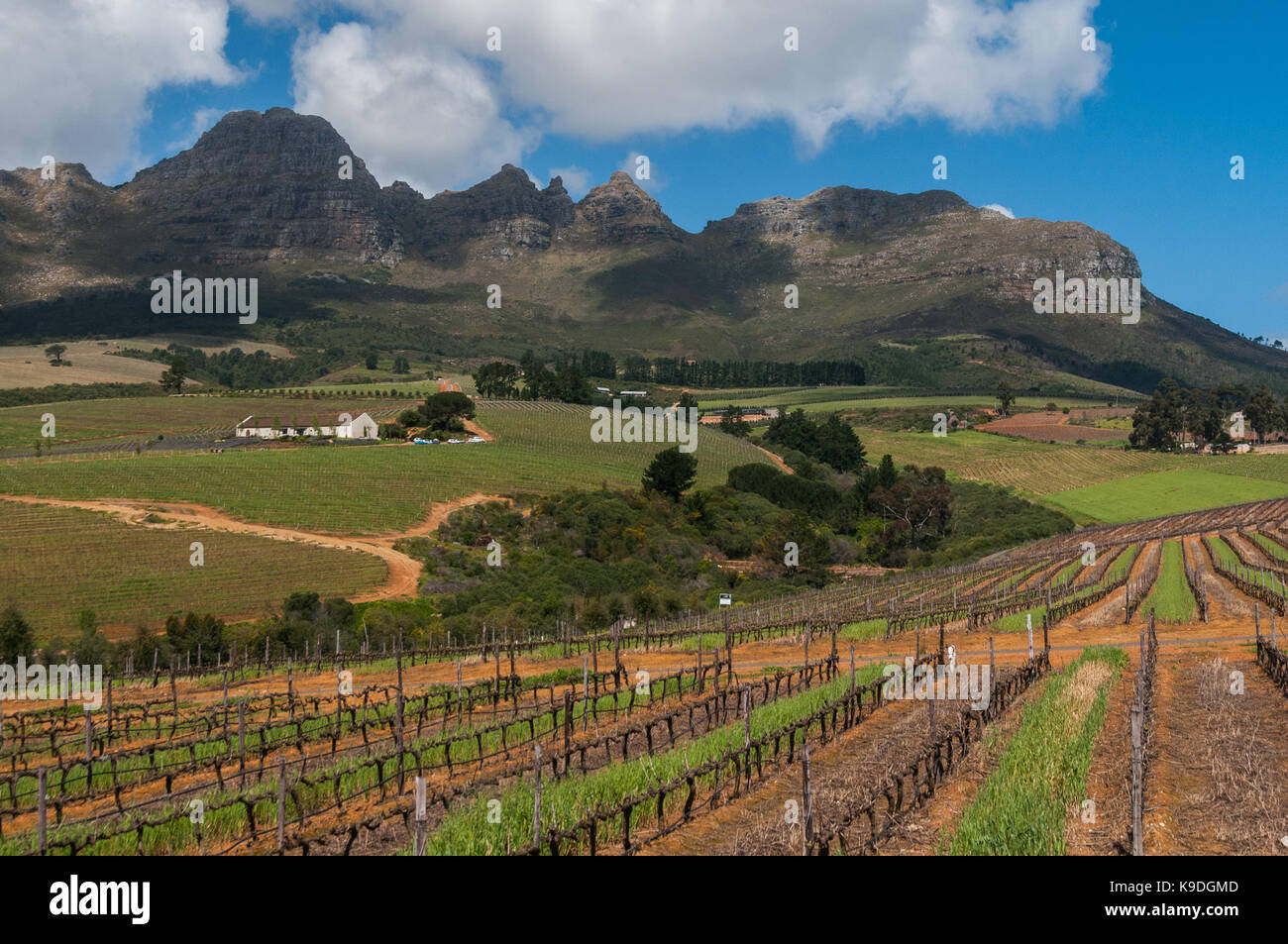 Ernie Els winery and Helderberg Mountains, Stellenbosch, South Africa