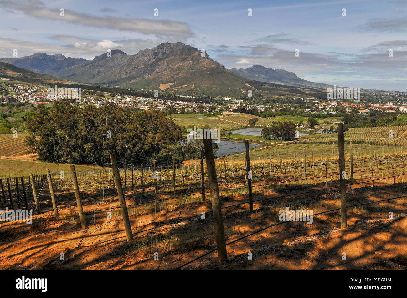 Stellenbosch and Stellenbosch Mountain seen from Glenelly Winery, South Africa Stock Photo