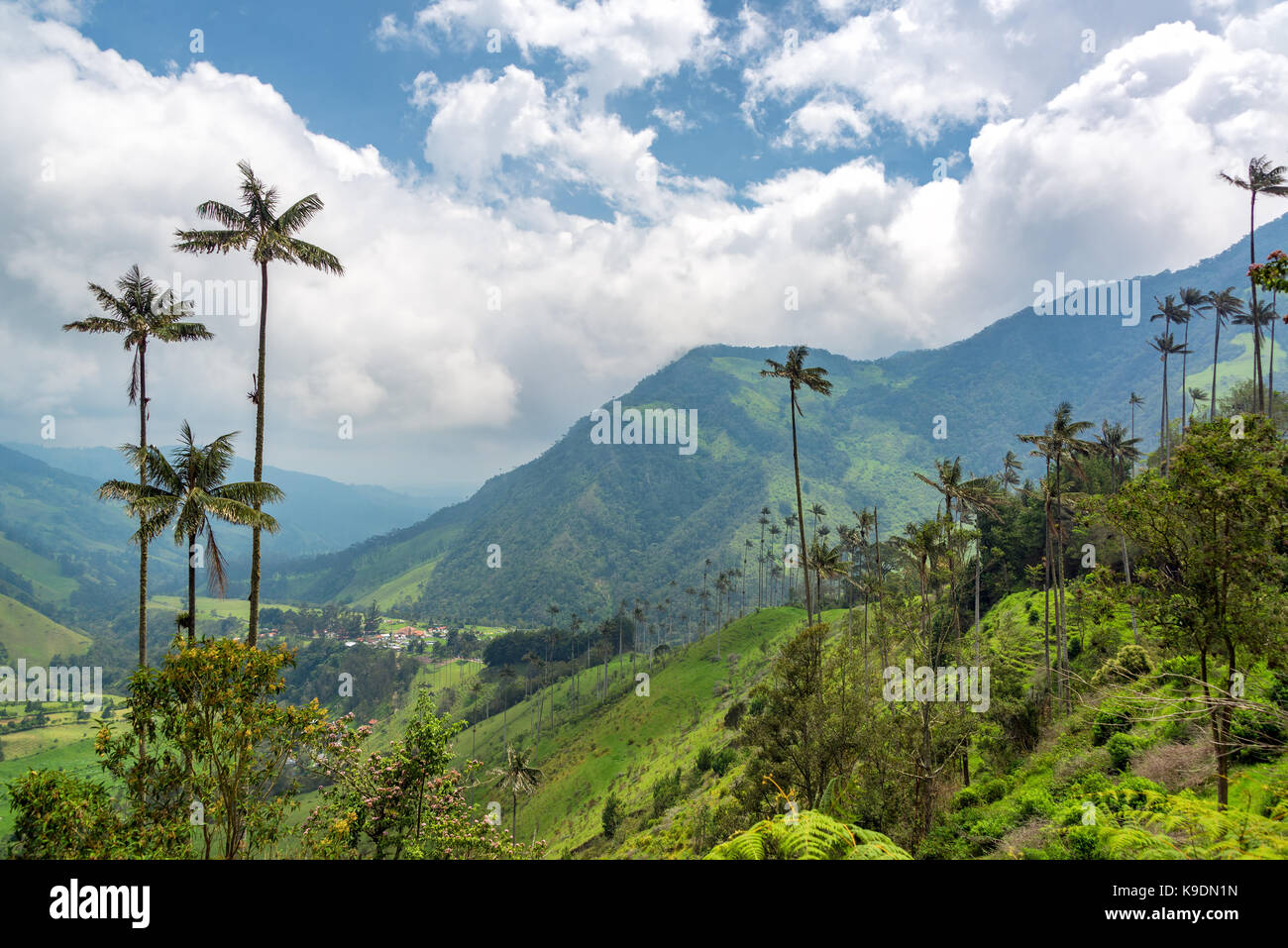 Green landscape view hi-res stock photography and images - Alamy