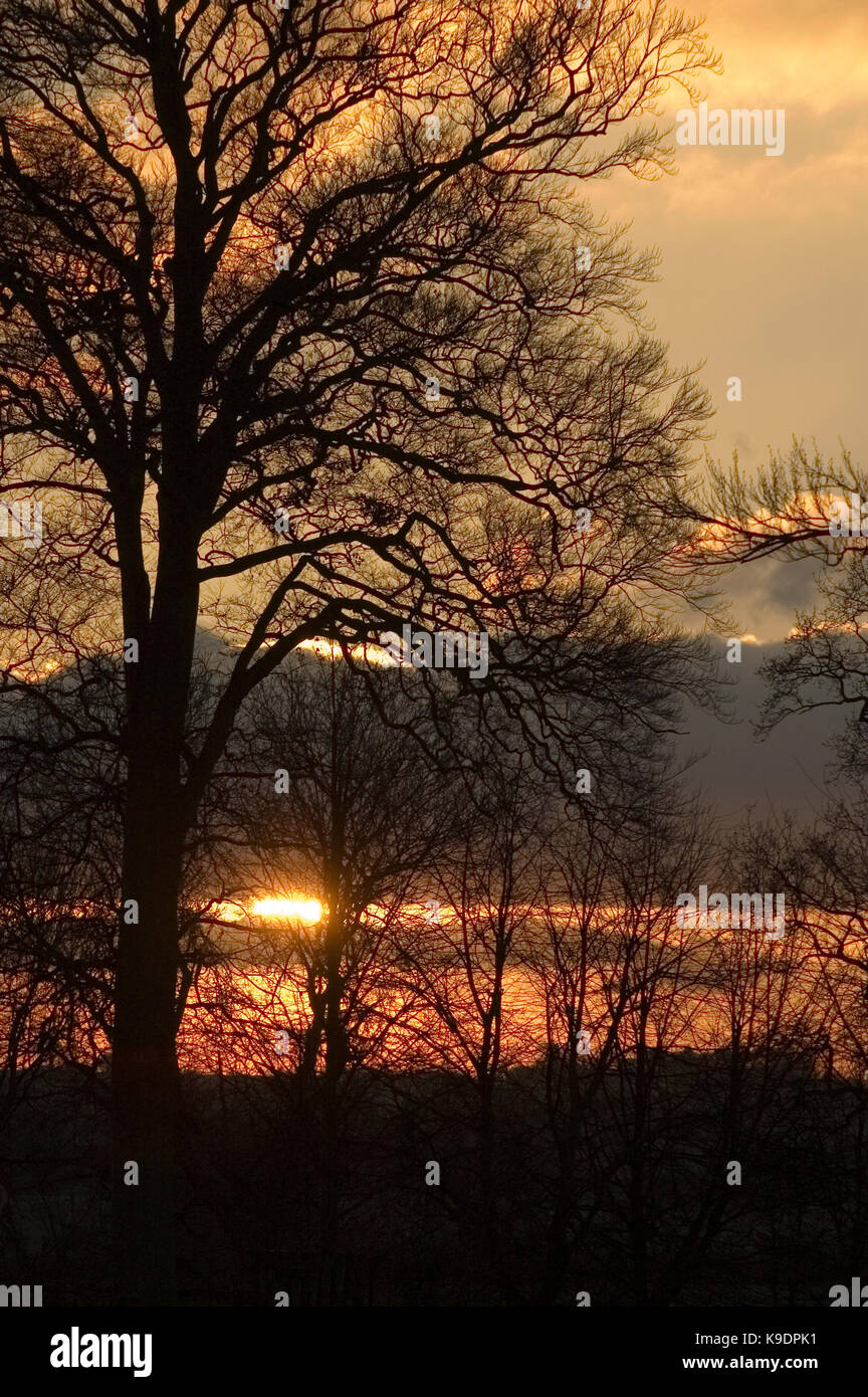 Dunham Massey, Altrincham, Cheshire Stock Photo Alamy