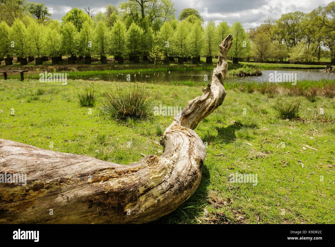 Dunham Massey, Altrincham, Cheshire Stock Photo Alamy