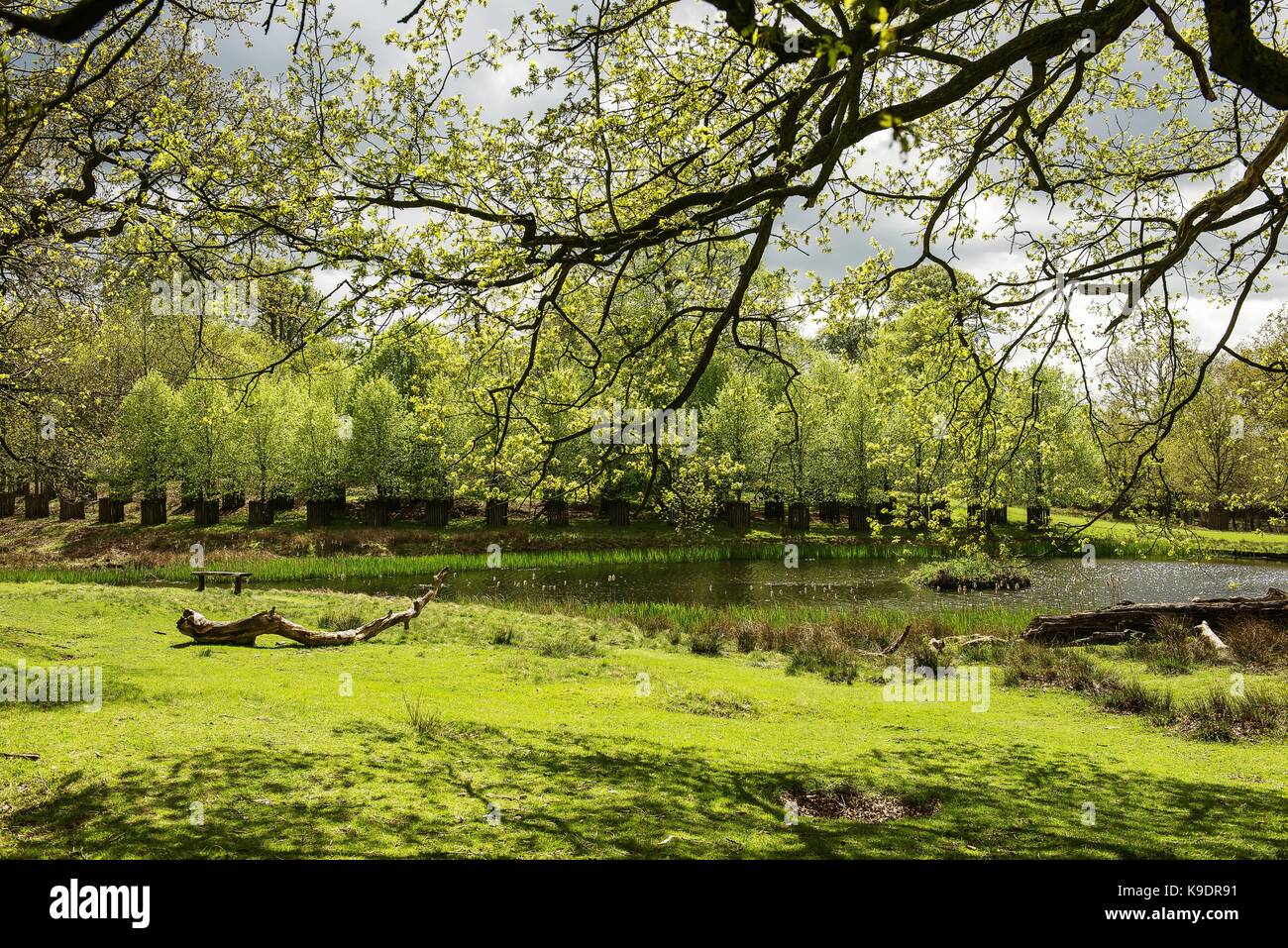 Dunham Massey, Altrincham, Cheshire Stock Photo Alamy