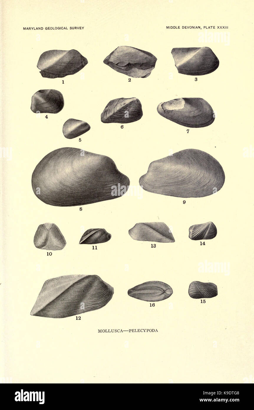 Lewis Documenting Rocks The Maryland Geological Survey is a comprehensive study documenting the ...