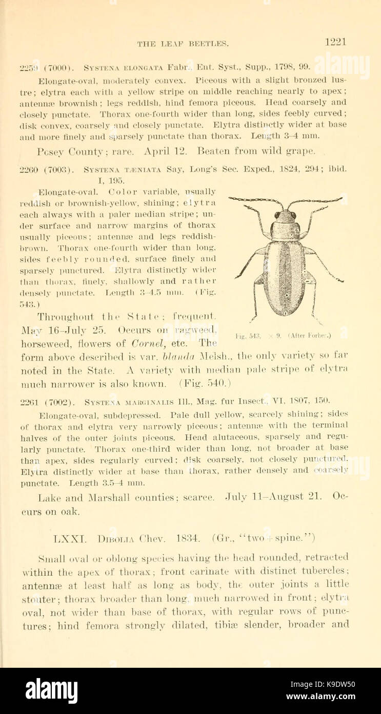 On the Coleoptera known to occur in Indiana (Page 1221) BHL9673592 Stock Photo