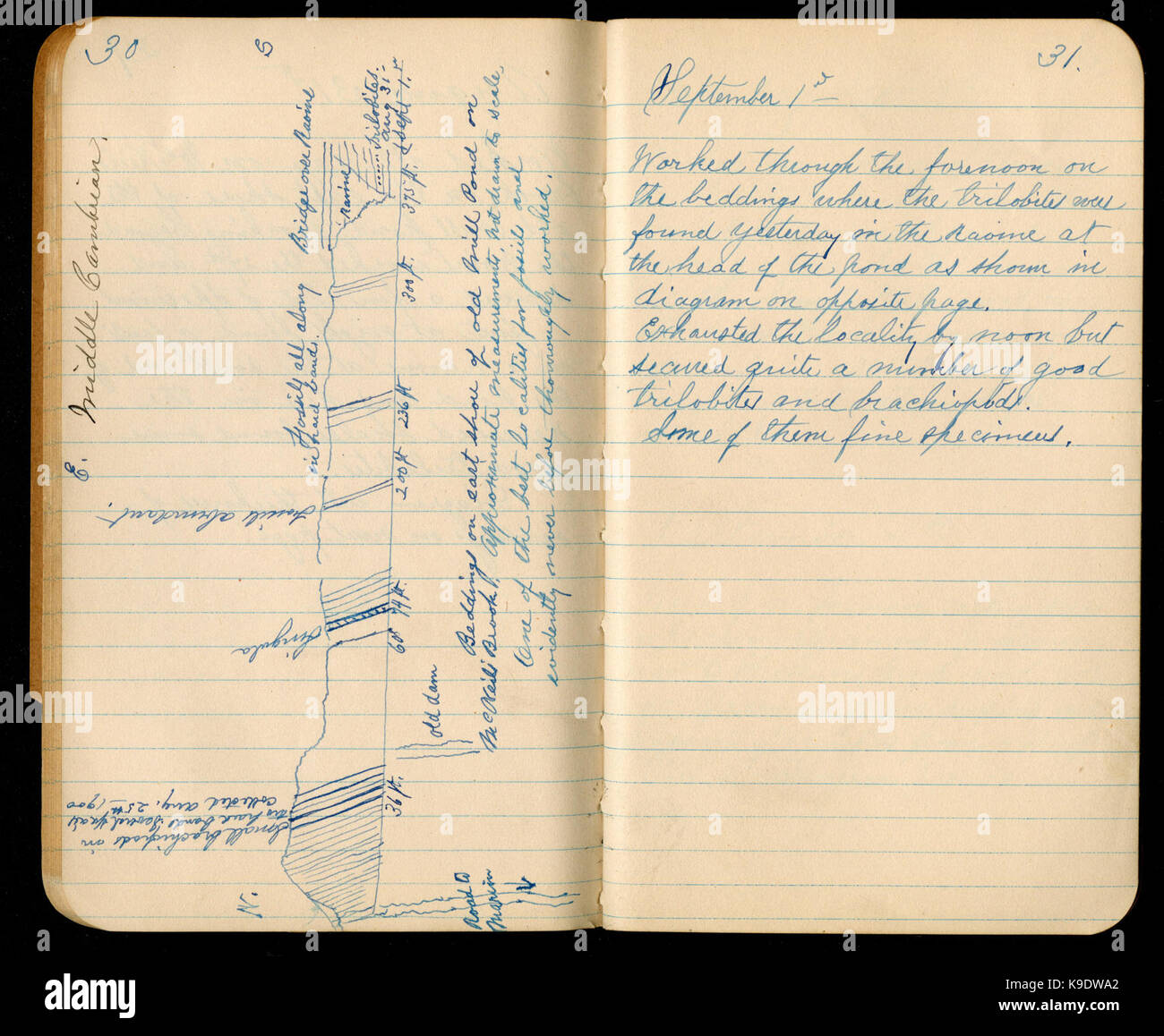 Notes 1900s Notes from Cape Breton, Nova Scotia, 1900 (30 and 31) BHL46662488 Stock ...