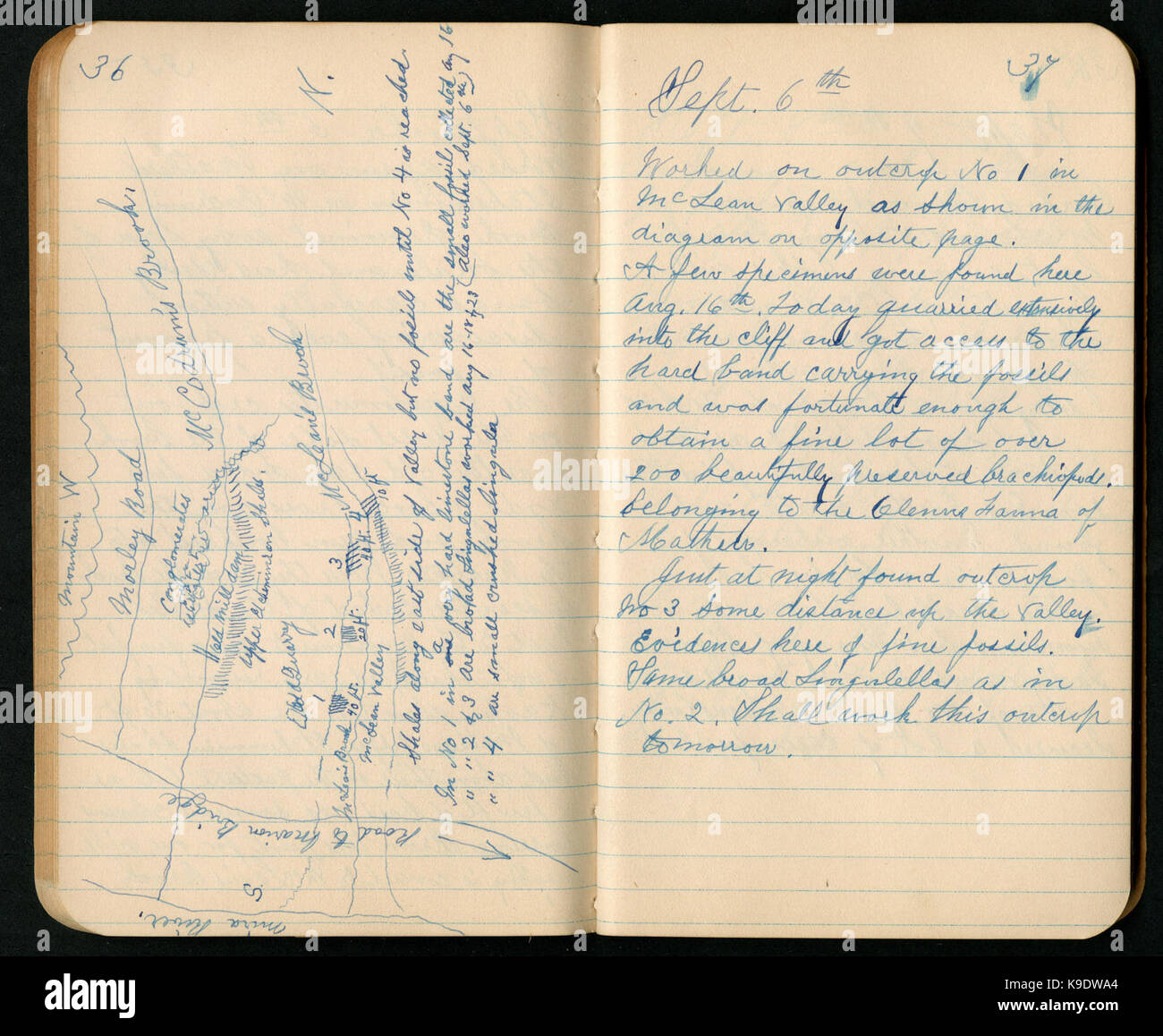 Notes 1900s Notes from Cape Breton, Nova Scotia, 1900 (36 and 37) BHL46662485 Stock ...