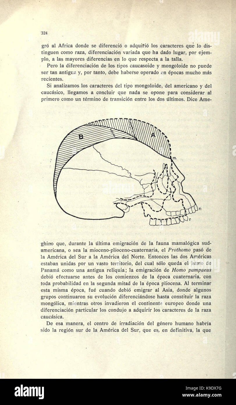 Obras completas y correspondencia cientifica de Florentino Ameghino (Page 324) BHL23012563 Stock Photo