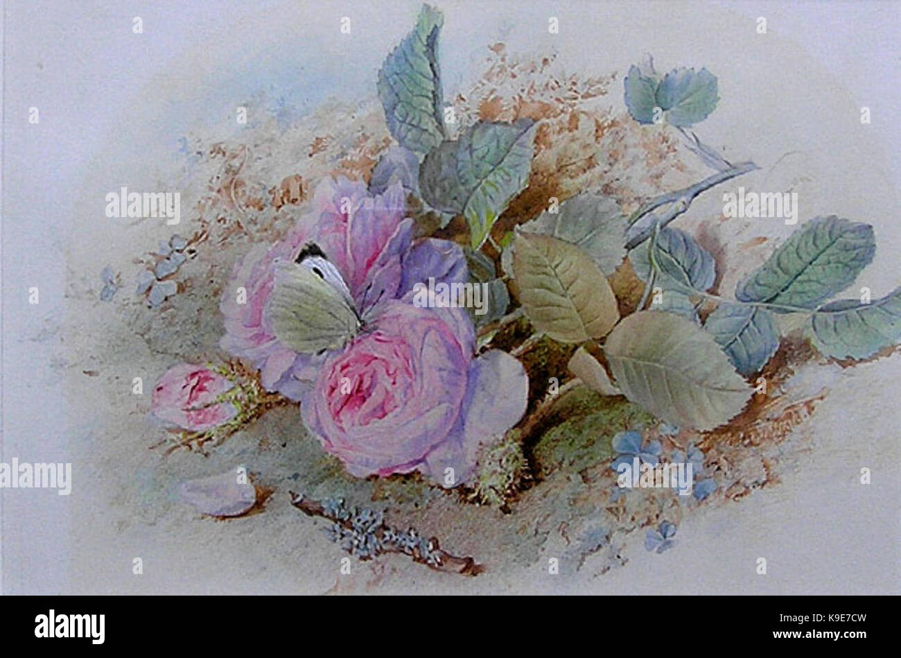 Map of duffield hires stock photography and images Alamy