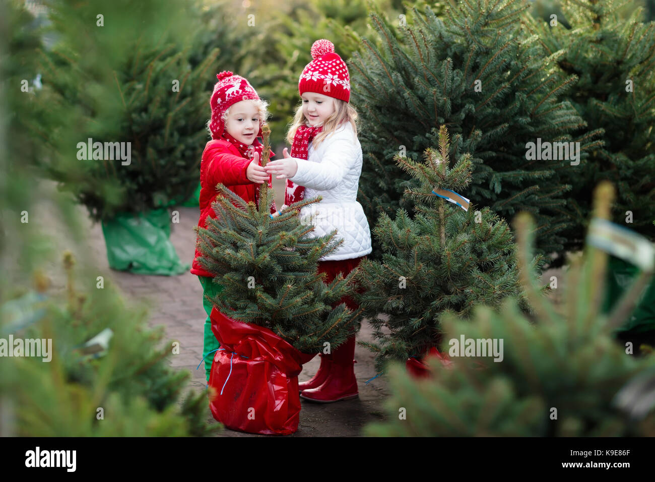 Family selecting Christmas tree. Kids choosing freshly cut Norway Xmas tree at outdoor lot. Children buying gifts at winter fair. Boy and girl shoppin Stock Photo