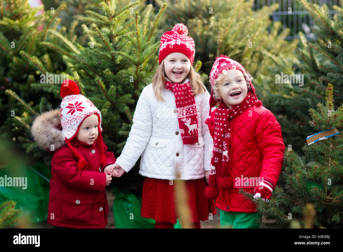 Family selecting Christmas tree. Kids choosing freshly cut Norway Xmas tree at outdoor lot. Children buying gifts at winter fair. Boy and girl shoppin Stock Photo