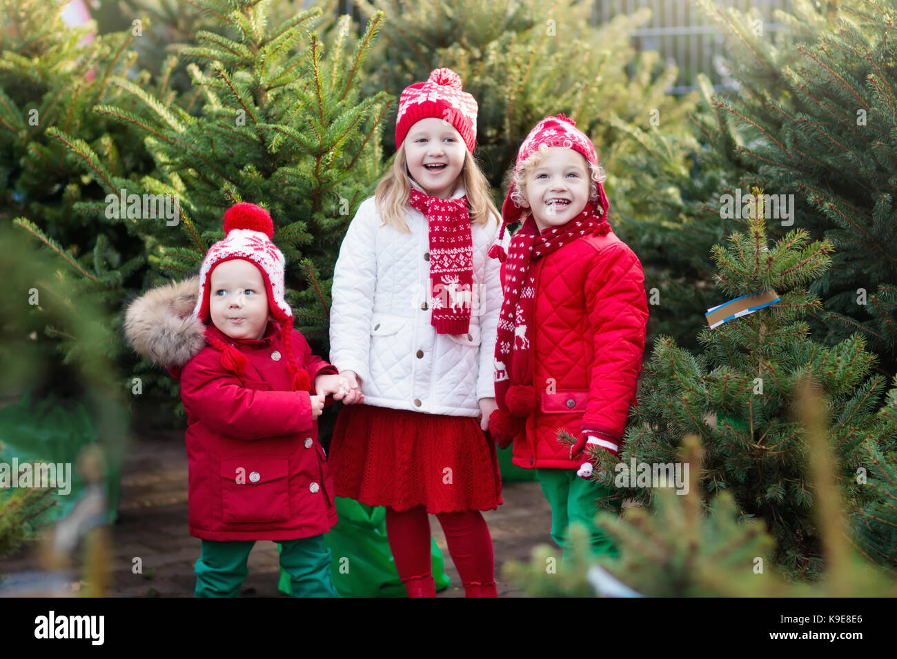 Family selecting Christmas tree. Kids choosing freshly cut Norway Xmas tree at outdoor lot. Children buying gifts at winter fair. Boy and girl shoppin Stock Photo