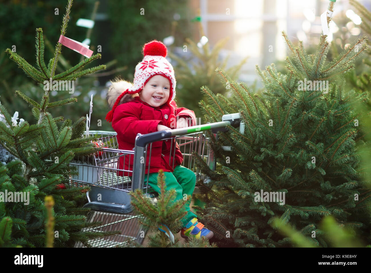 Family selecting Christmas tree. Kids choosing freshly cut Norway Xmas tree at outdoor lot. Children buying gifts at winter fair. Boy and girl shoppin Stock Photo