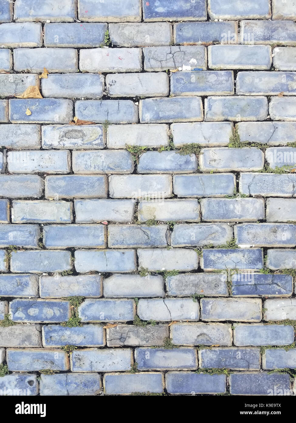 Pavers seamless texture hi-res stock photography and images - Alamy