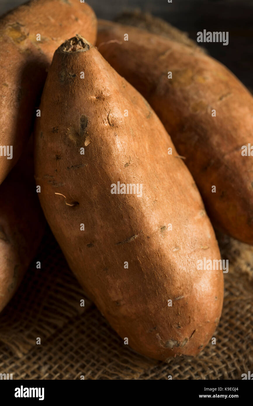 Raw Orange Organic Sweet Potato Yams Ready to Cook Stock Photo Alamy