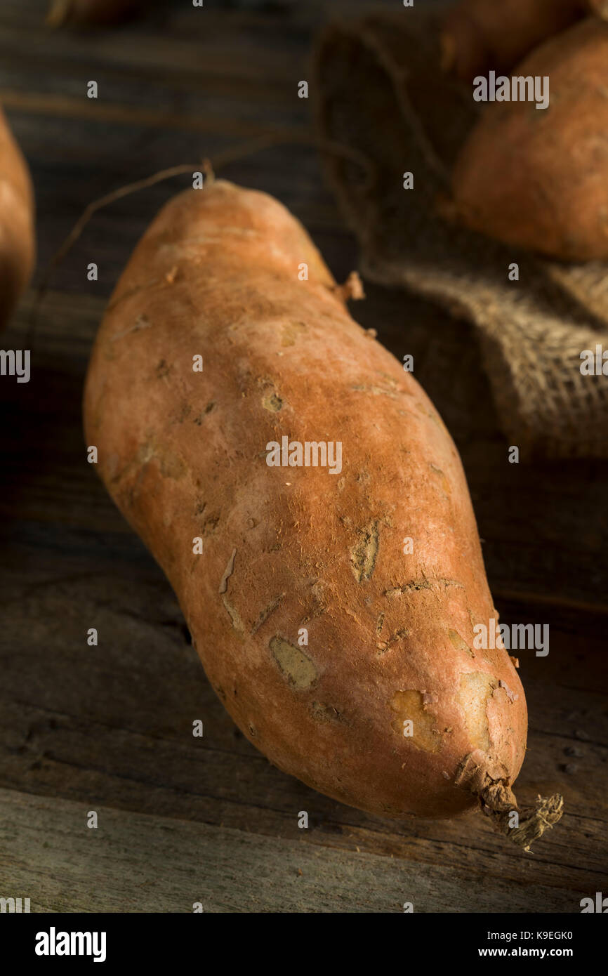 Raw Orange Organic Sweet Potato Yams Ready to Cook Stock Photo Alamy