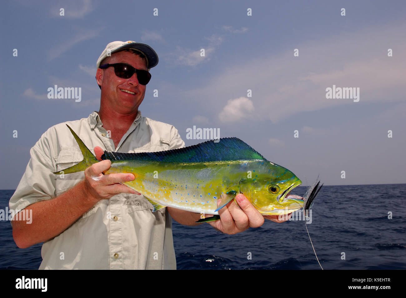 Mahi mahi hires stock photography and images Alamy