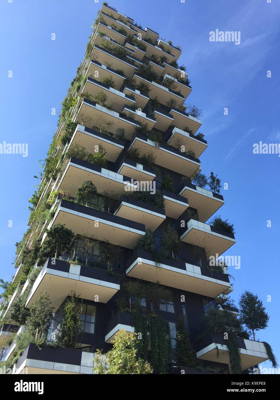 Vertical Forest, Milan, Porta Nuova, skyscraper residences, Italy, View of the balconies and terraces of the Vertical Forest, full of green plants Stock Photo