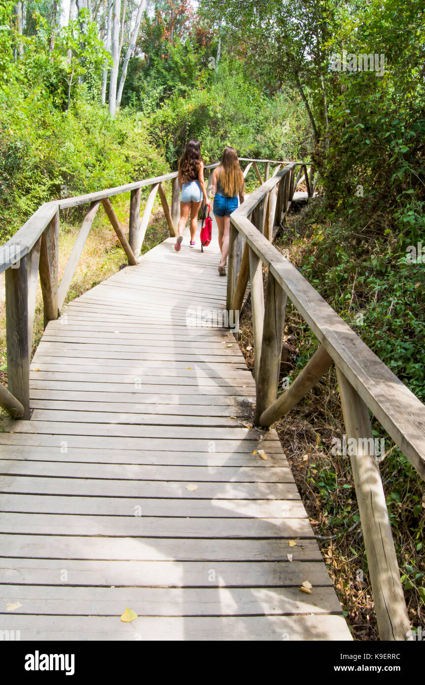 Two beautiful women hiking in nature on a wooden road Stock Photo - Alamy